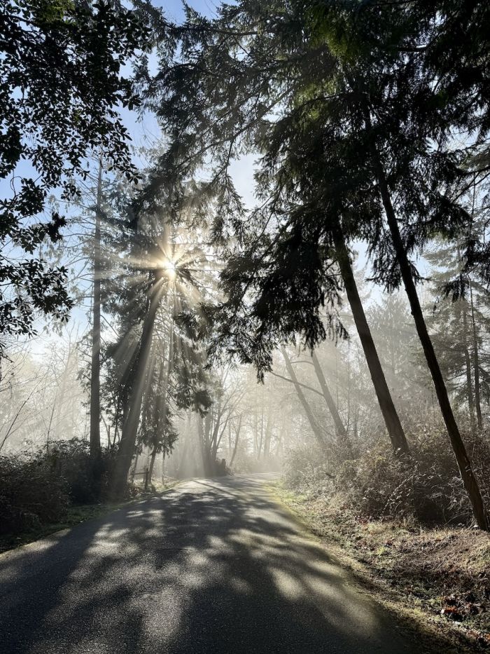 CamanoIsland_Morning1 CamanoIsland_Morning1