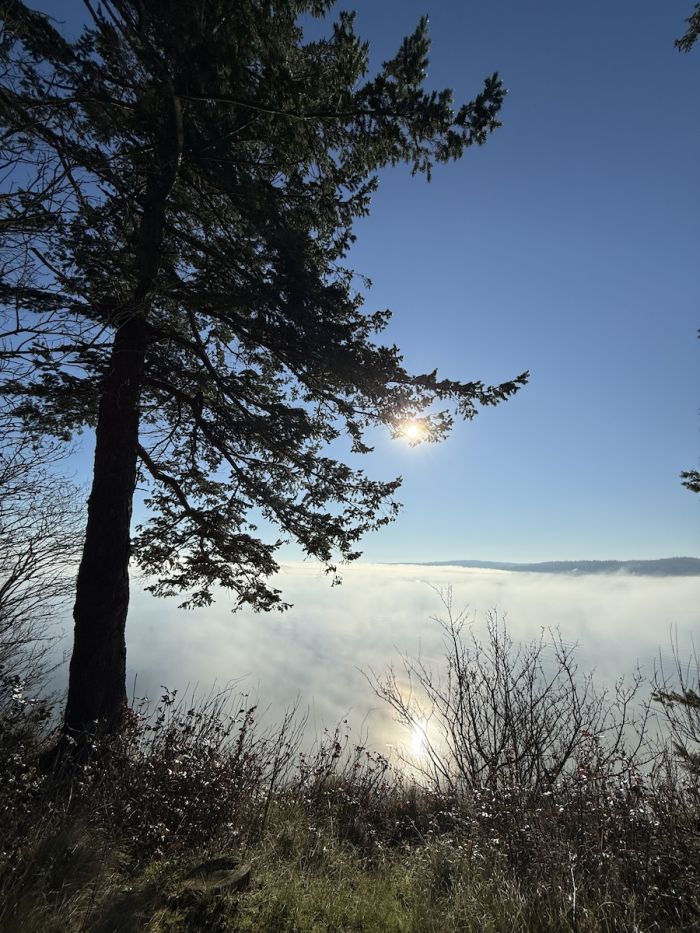 CamanoIsland_Morning2a CamanoIsland_Morning2a