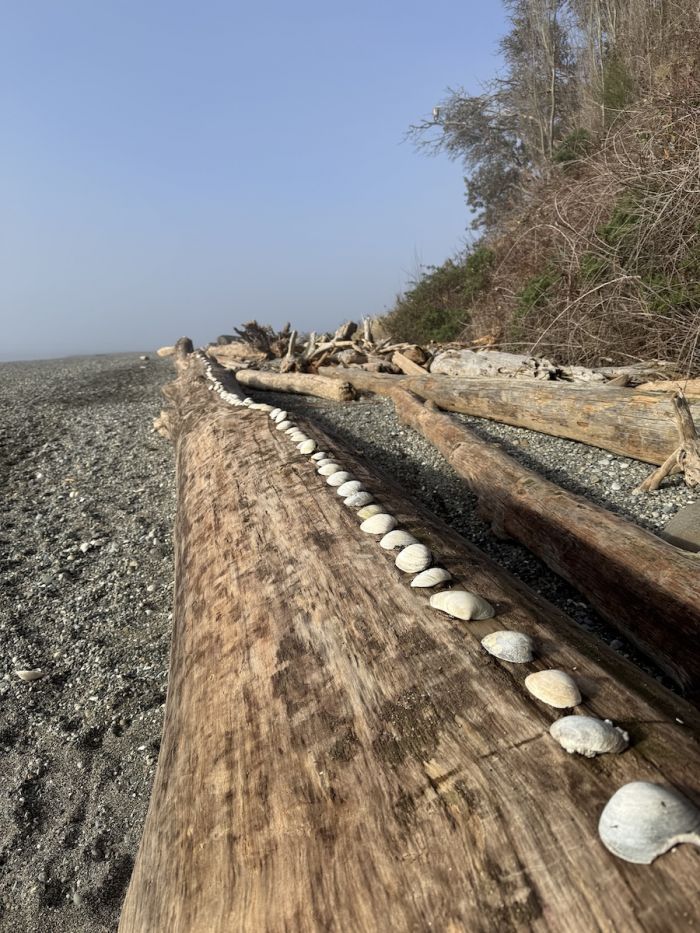 CamanoIsland_Morning4 CamanoIsland_Morning4