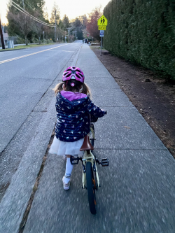 2020-Bike-Ive-Got-This-web Learning to Bike